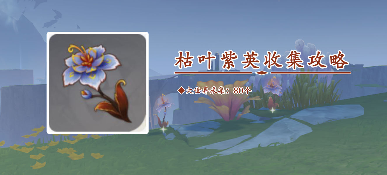 枯叶紫英在哪里收集