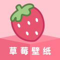 草莓壁纸app指尖壁纸v1.7.4免费版