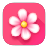 小月历app安卓版