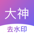 大神水印app手机去广告版
