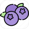 蓝莓音乐app极速版
